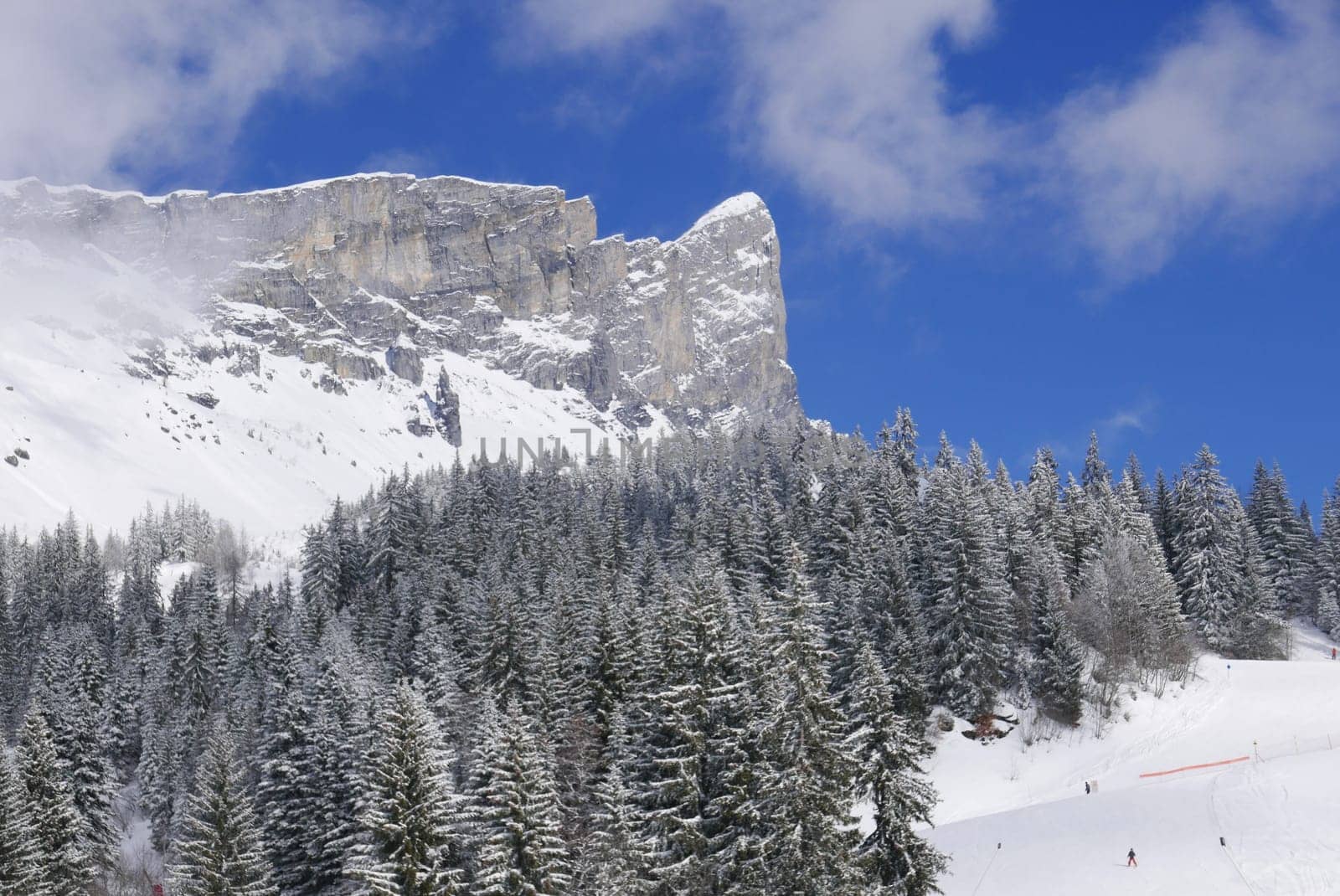 holiday at the foot of Mont Blanc in winter in the Chamonix Valley, France