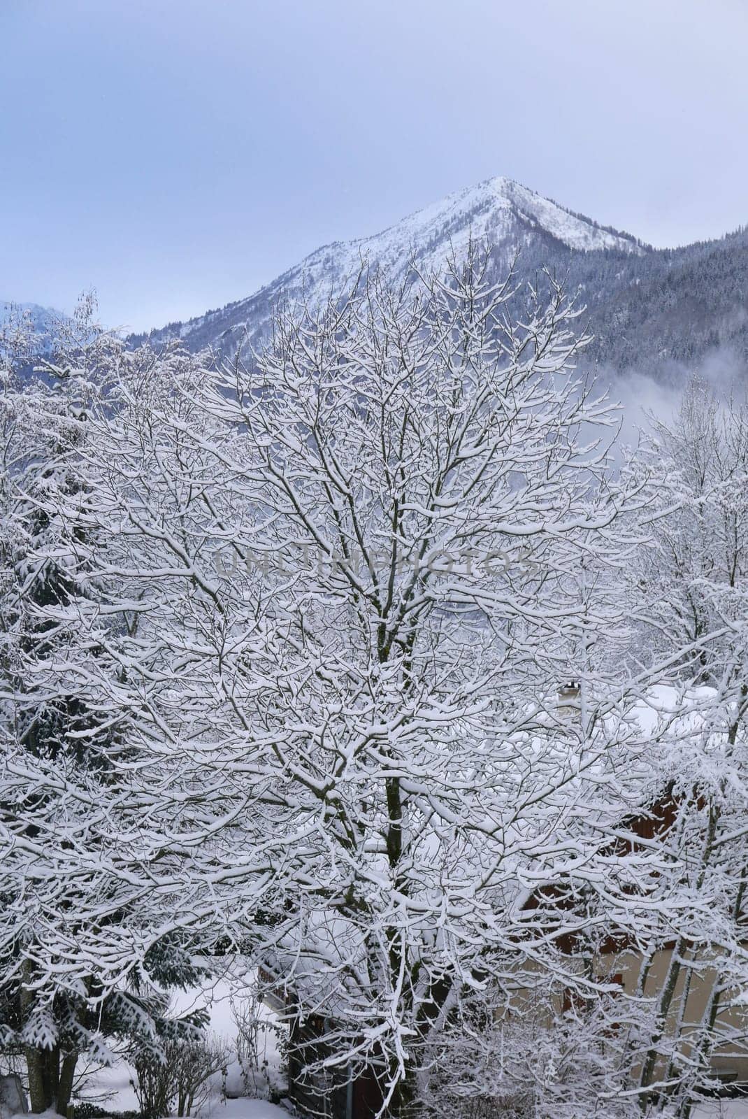 holiday at the foot of Mont Blanc in winter in the Chamonix Valley, France