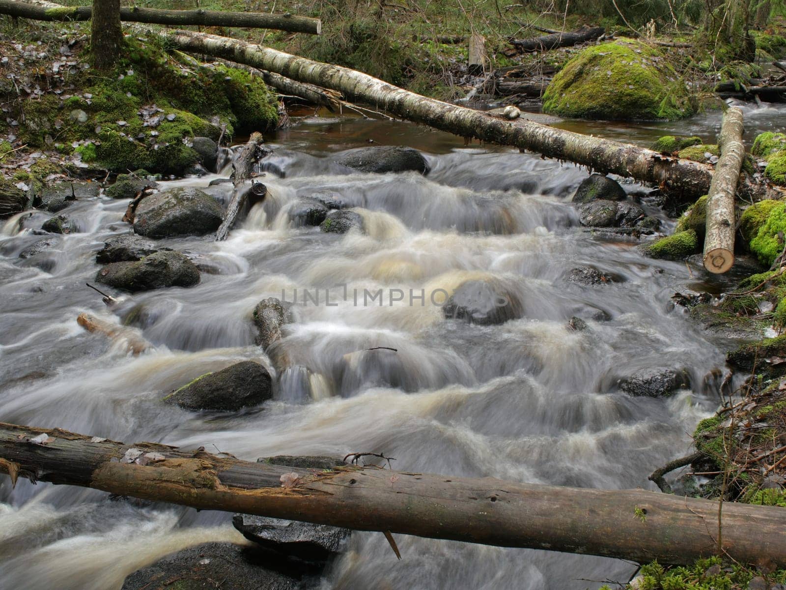 fallen trees over a fast stream long exposure