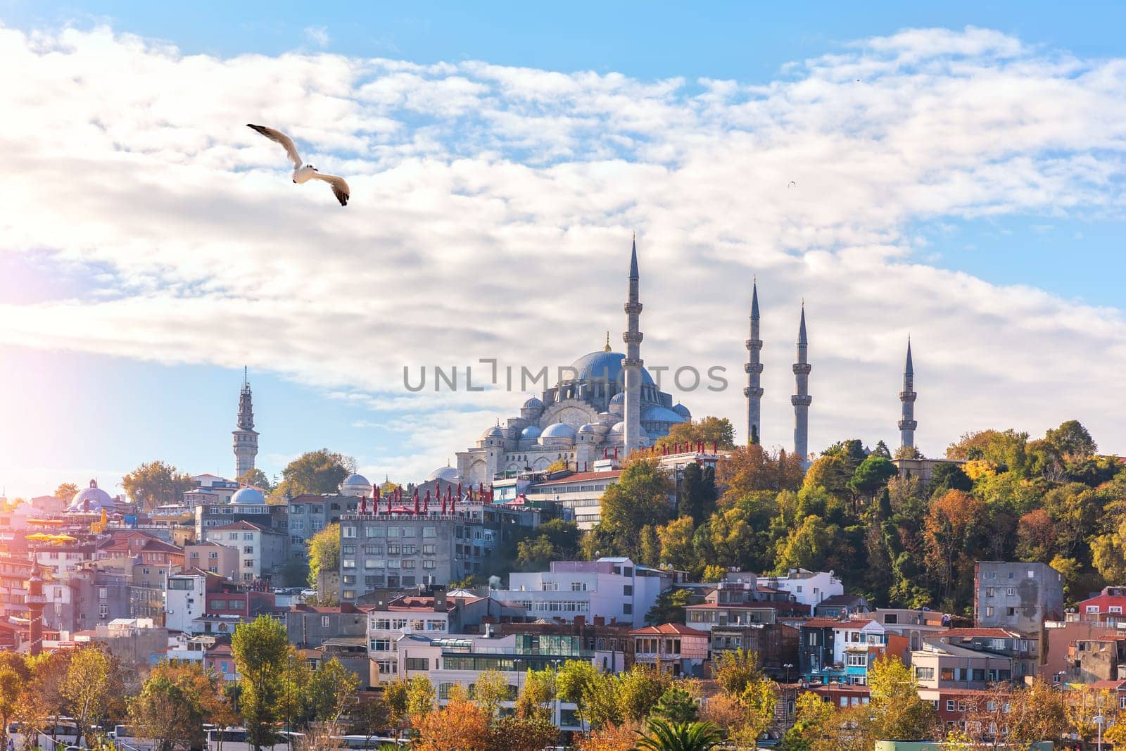 Suleymaniye Mosque on the hill of Istanbul, view from the Eminonu pier.