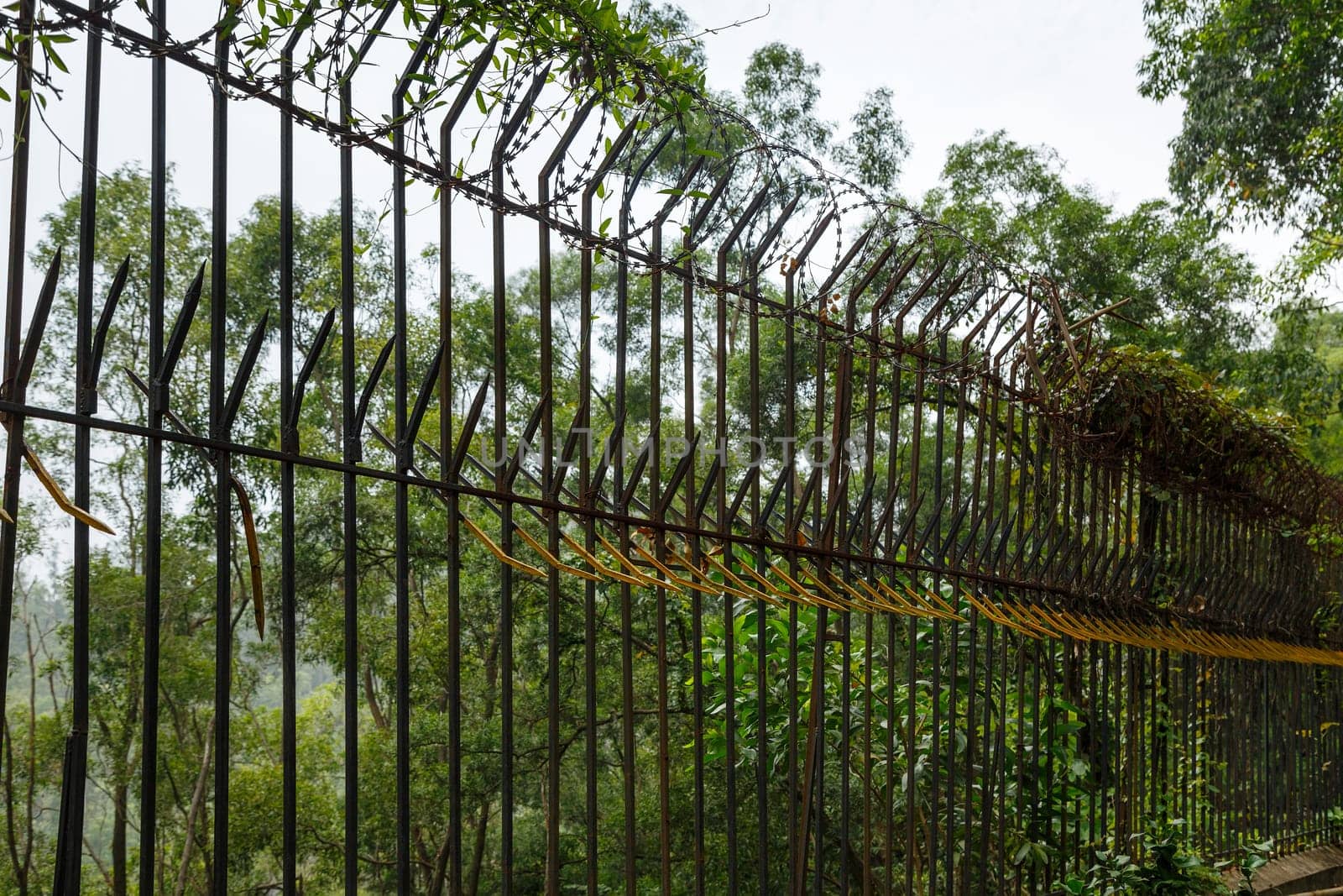 Barbed wire fence with sharp spikes in a protected elite residential area, Shenzhen, China