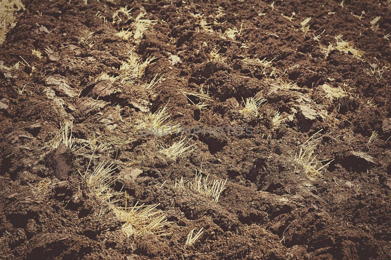 Abstract background of an arable land