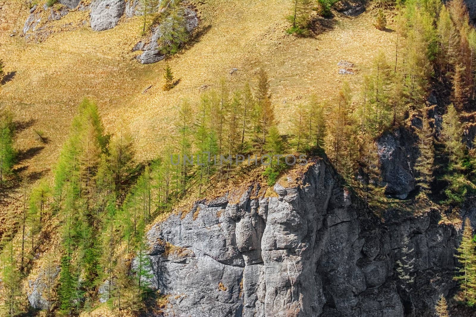 Mountainside of Bucegi (Southern Carpathians) in Romania