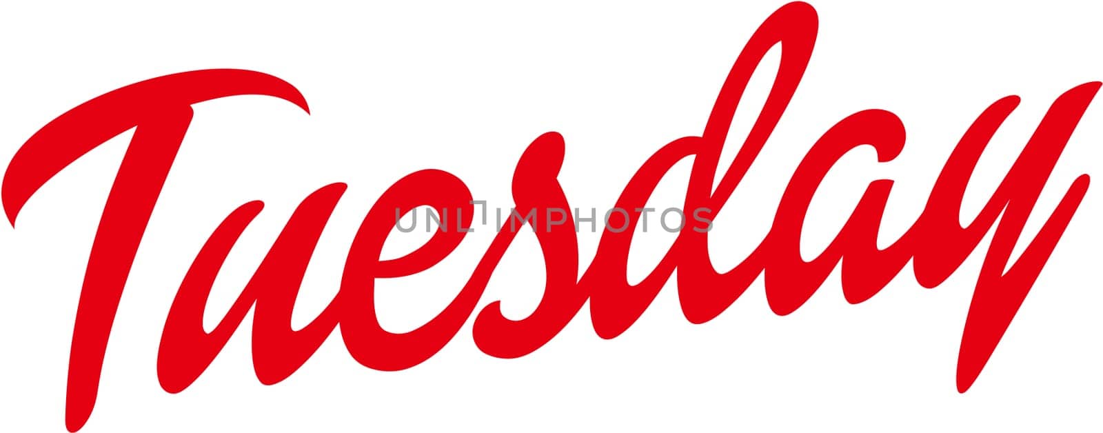 tuesday red day illustration text font