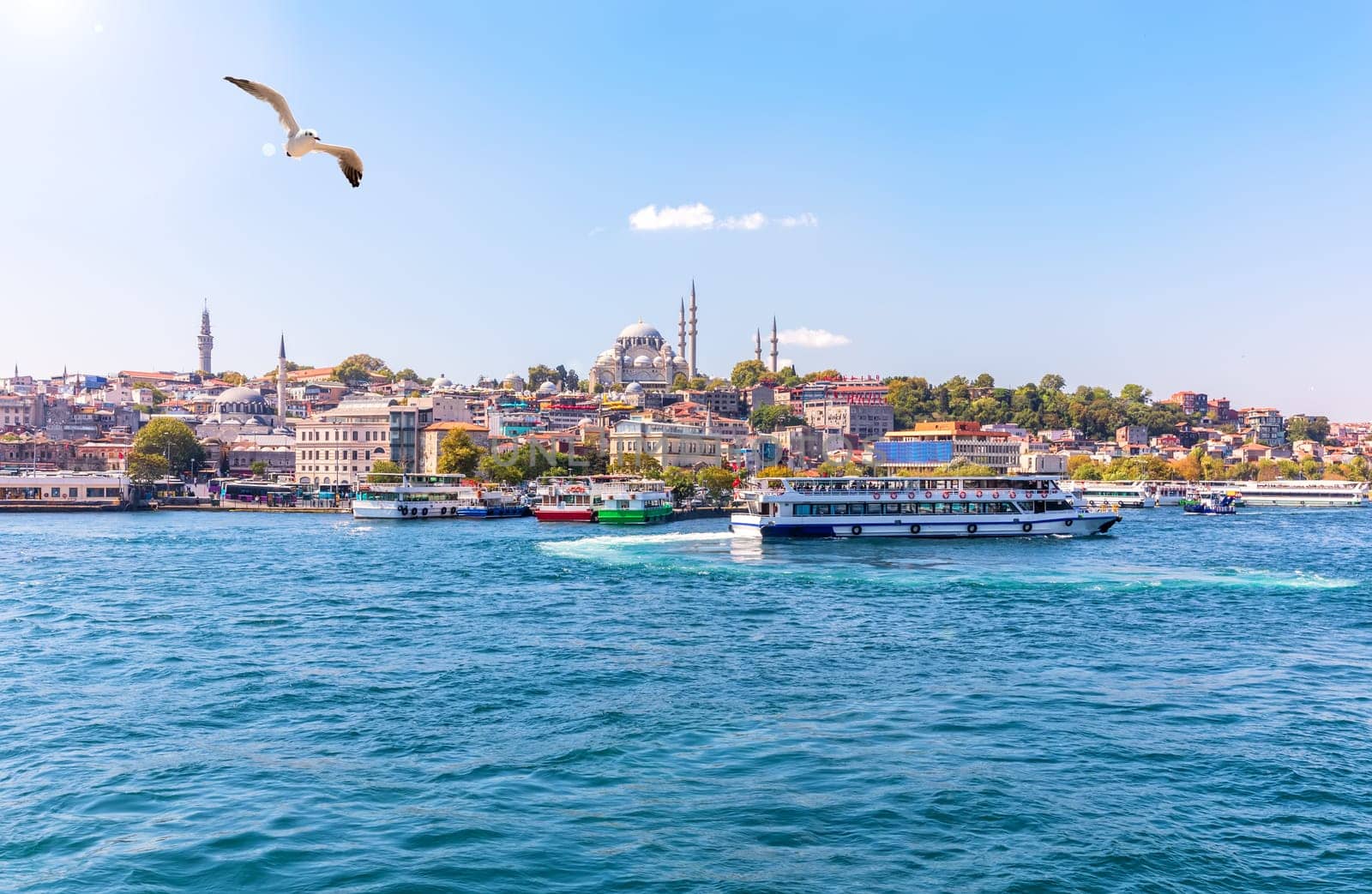 Eminonu pier, the Suleymaniye Mosque and the Bosphorus, Istanbul view.