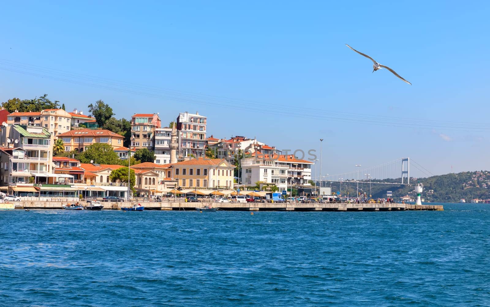 Houses on the Bosphorus and the Fatih Sultan Mehmet Bridge, Istanbul.