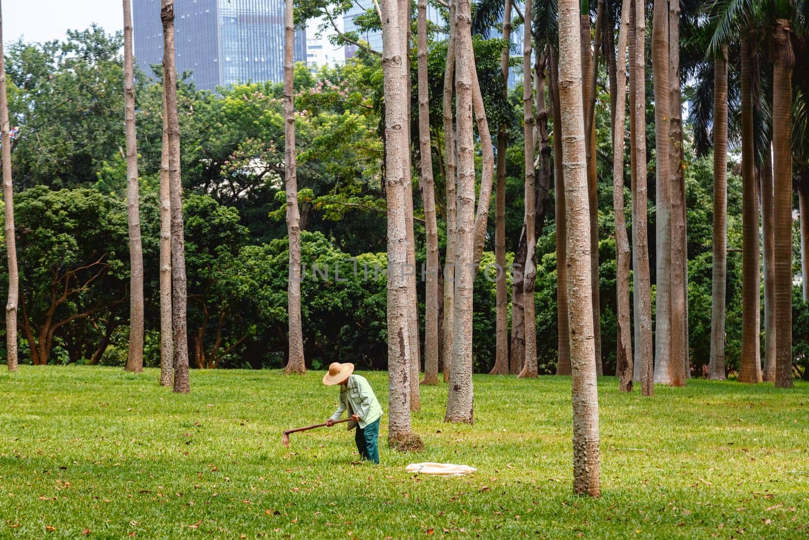 A working man in a Chinese hat picking up trash in a city tropical park, Shenzhen, China