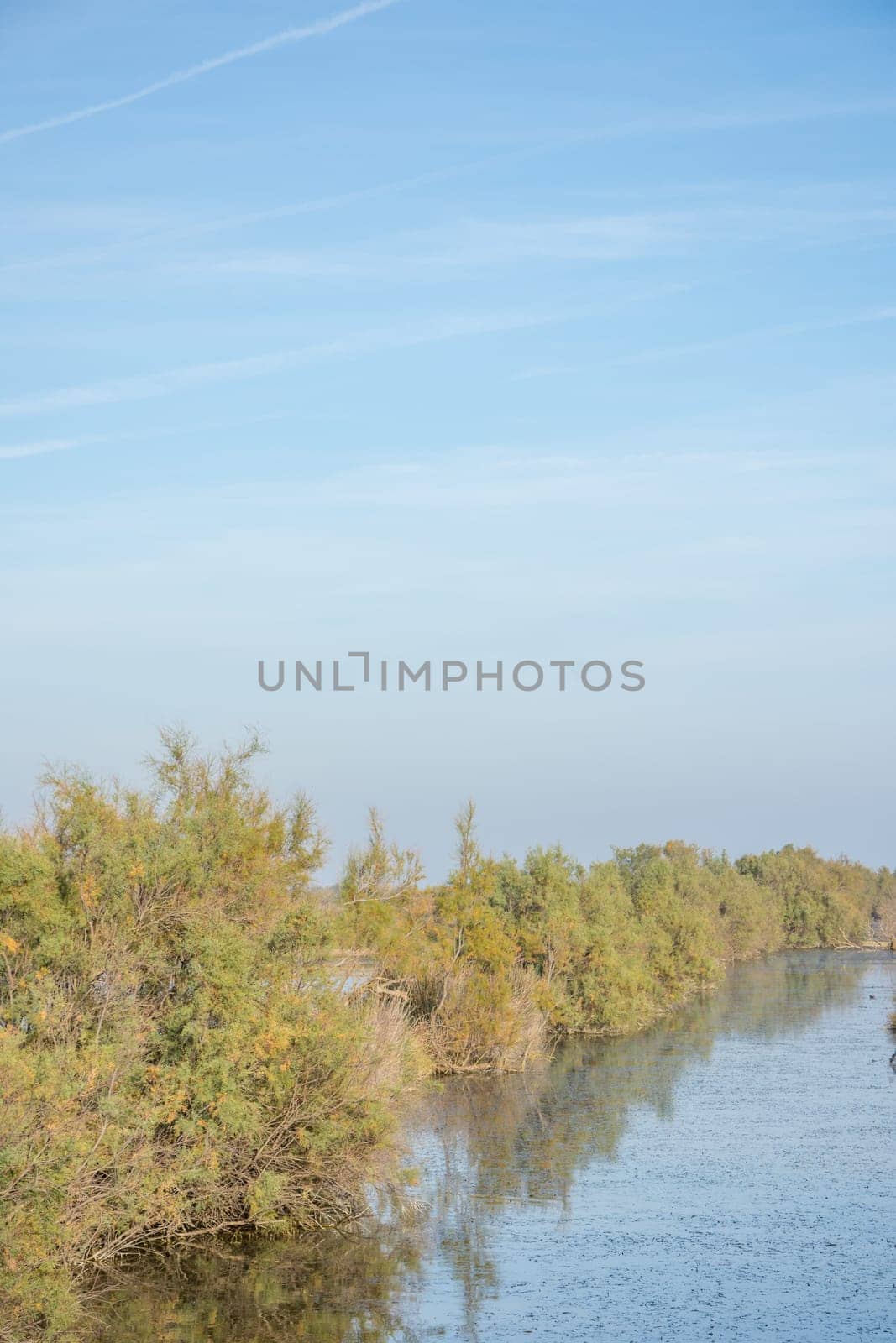 landscape of Camargues in the south of France. Ornithological nature reserve