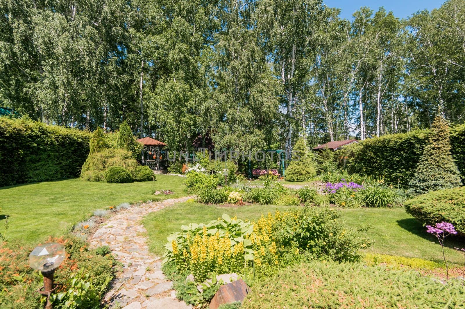 Russia, Moscow- July 06, 2019: green coniferous garden, spruce fir-tree plants by the country house. beautiful landscaping