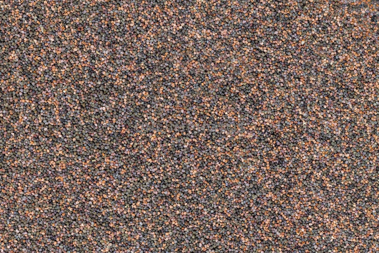 Background of evenly distributed small poppy seeds in different colors