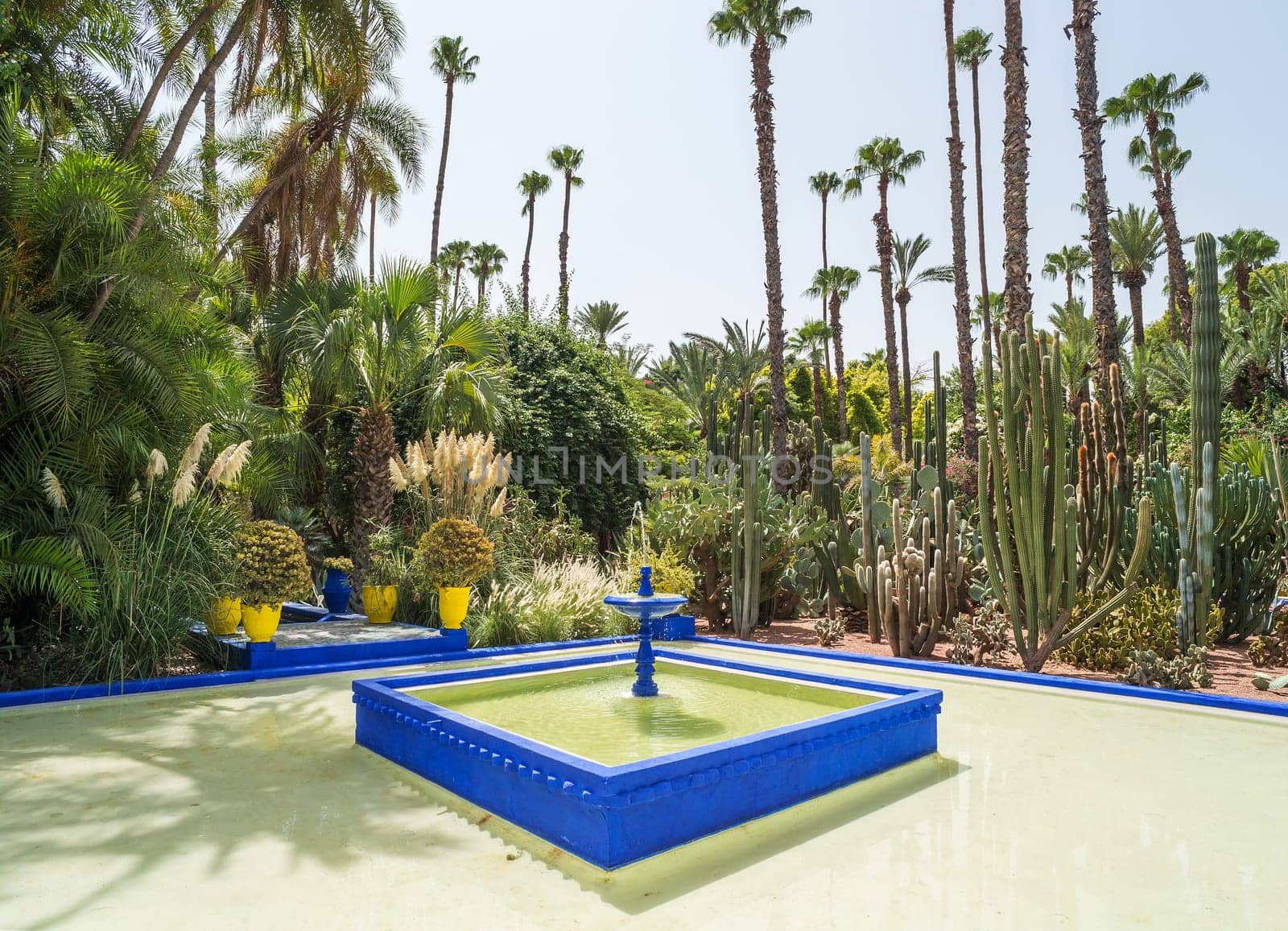 The Majorelle Park in Marrakech