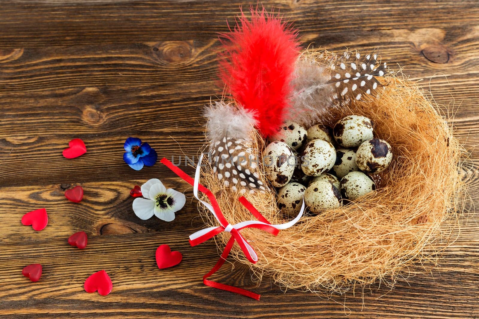 quail eggs in a nest with feathers and ribbon