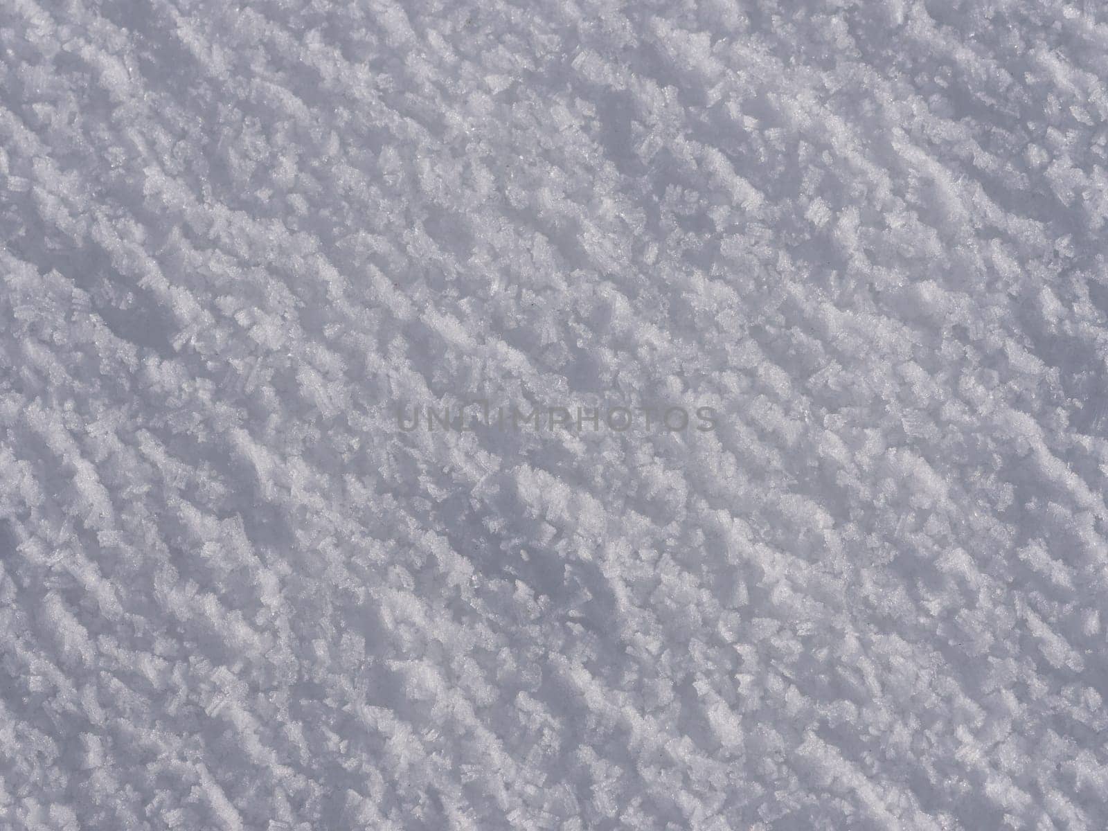 snow or (snow ski) or (snow sledge) or (snow people)
