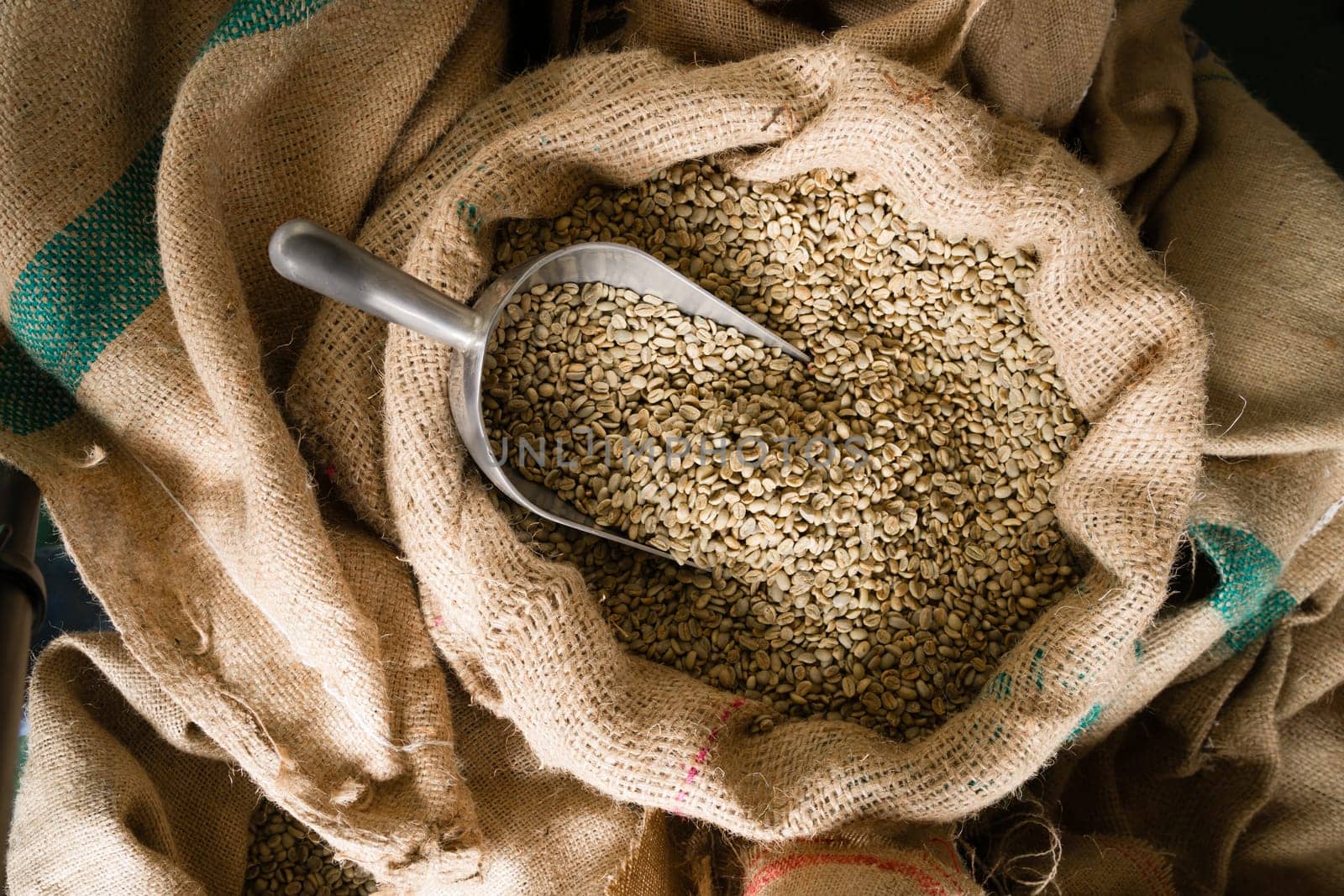 A big metal scoop in the raw coffee seeds sack