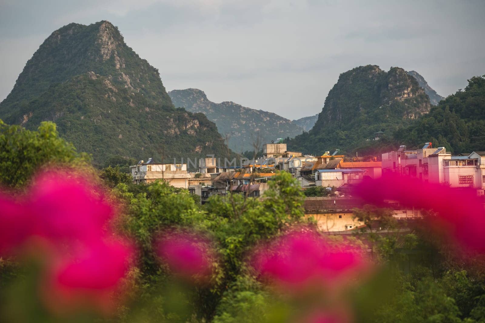 Defocused pink flowers in front of summer landscape of Guilin town city with karst mountains in the background, Guangxi Province, China