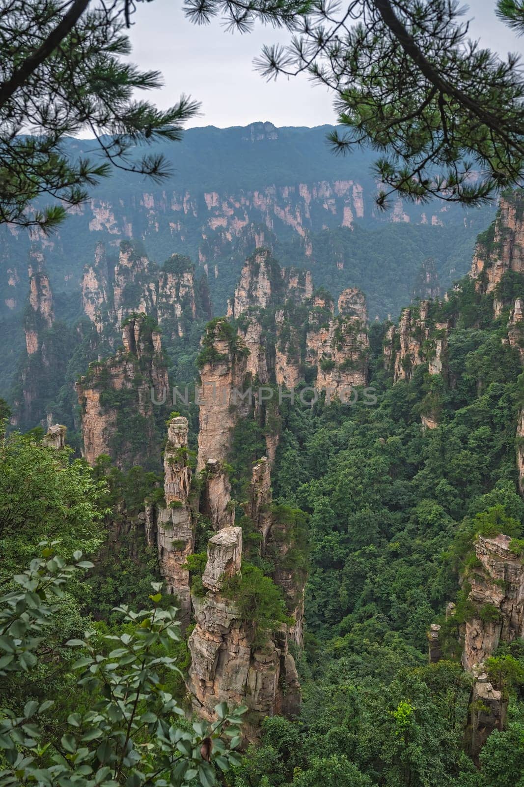 Vertical view of the stone pillars of Tianzi mountains in Zhangjiajie National park which is a famous tourist attraction, Wulingyuan, Hunan Province, China