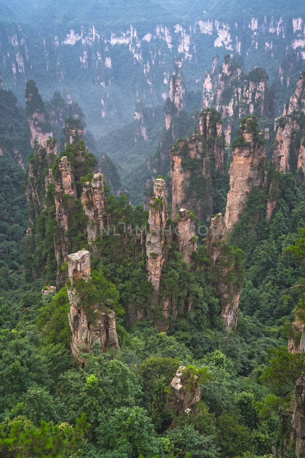 Vertical view of the stone pillars of Tianzi mountains in Zhangjiajie National park which is a famous tourist attraction, Wulingyuan, Hunan Province, China