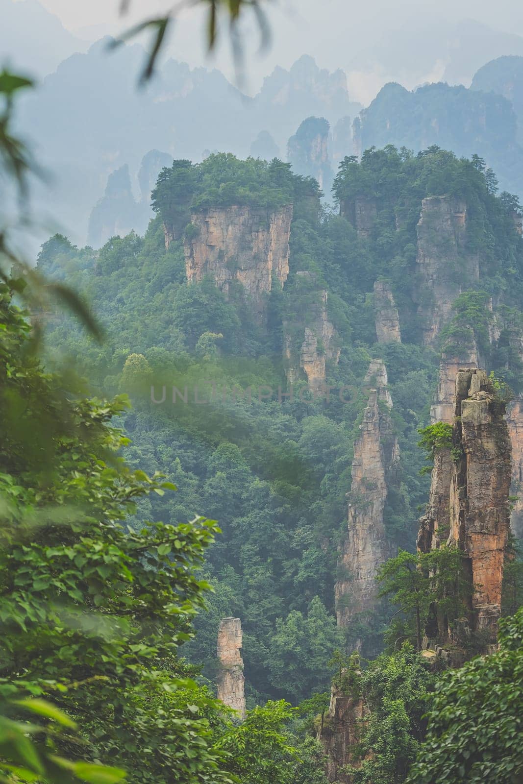 Vertical view of the stone pillars of Tianzi mountains in Zhangjiajie National park which is a famous tourist attraction, Wulingyuan, Hunan Province, China