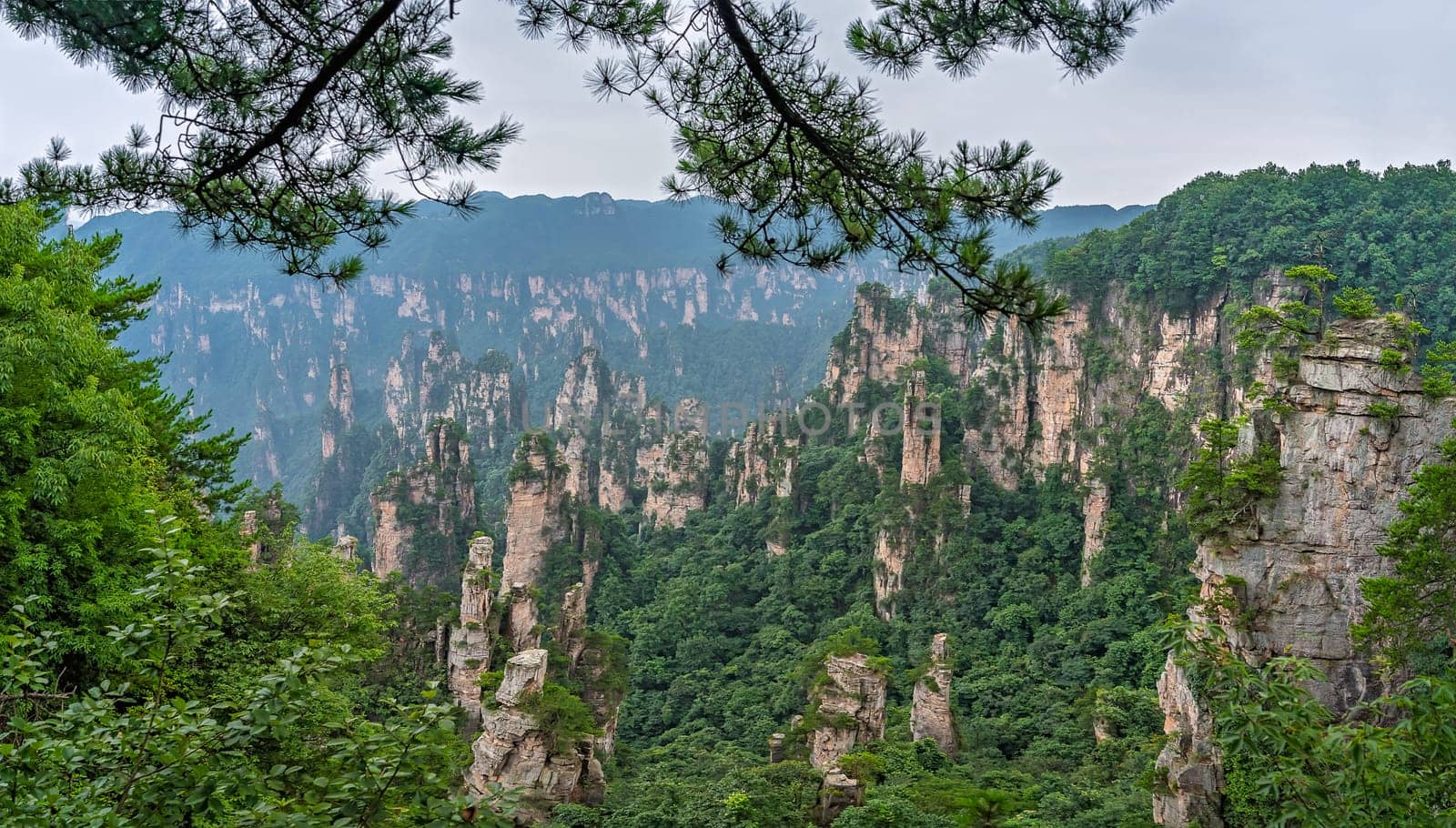Panoramic view of the stone pillars of Tianzi mountains in Zhangjiajie National park which is a famous tourist attraction, Wulingyuan, Hunan Province, China