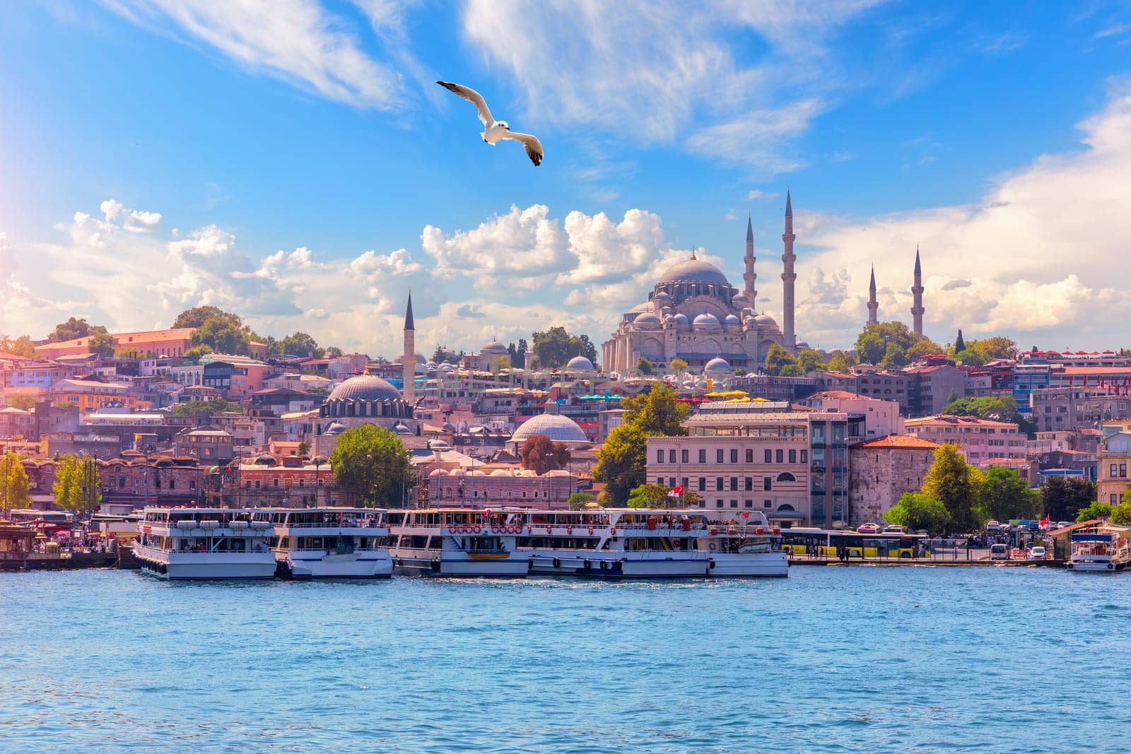 View on the Eminonu district and the Suleymaniye Mosque from the Bosphorus, Istanbul, Turkey.