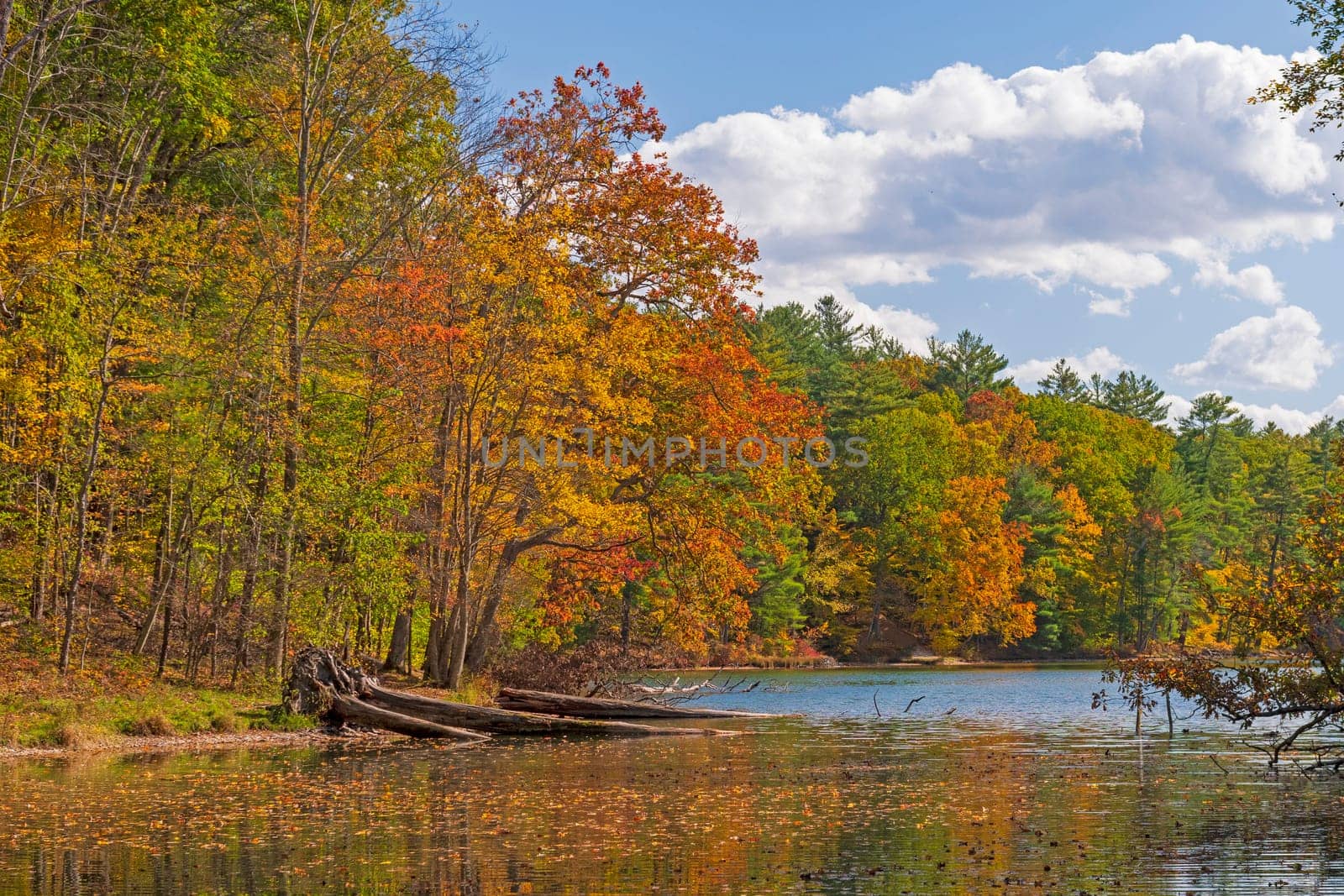 Serene Change of the Seasons on a Quiet Lake on Chenango Lake in Chenango Valley State Park in New York