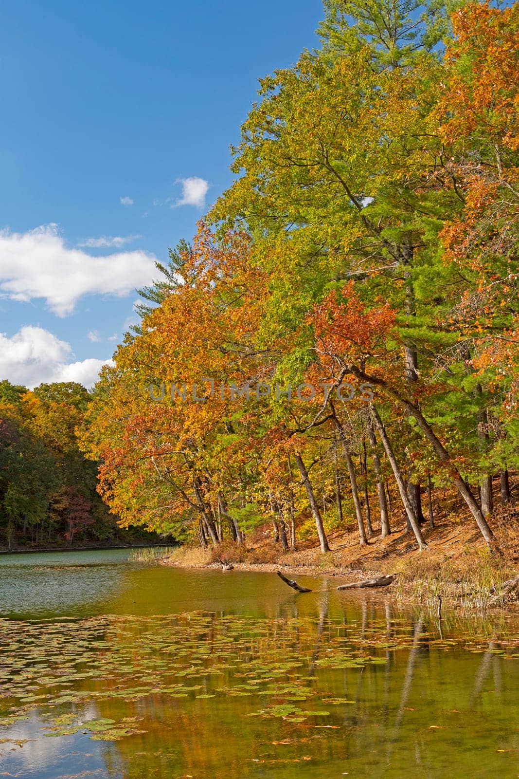 Calm Waters in the Early Fall on Chenango Lake in Chenango Valley State Park in New York