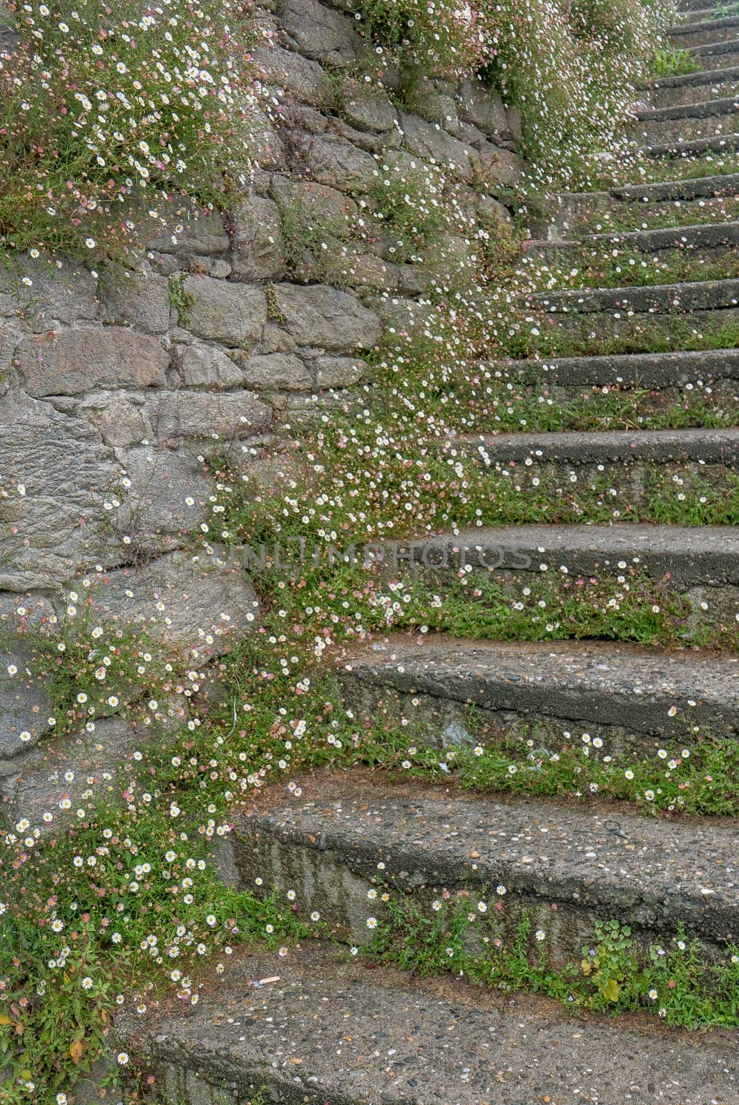 a landscape of Brittany in summer, France. sea, color of this region in summer