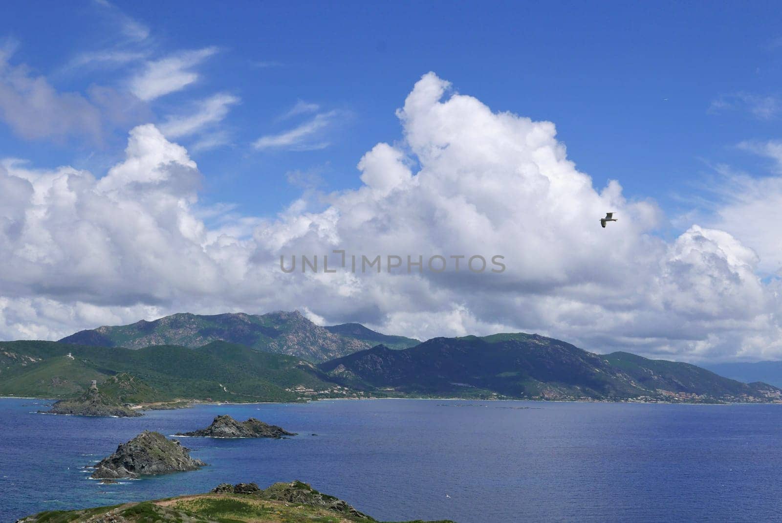 Holidays in southern Corsica..Discovery of the Sanguinaires Islands, next to the city of Ajaccio