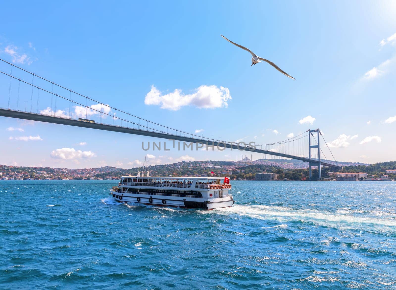 Cruise ship under the Bosphorus bridge, Istanbul, Turkey.