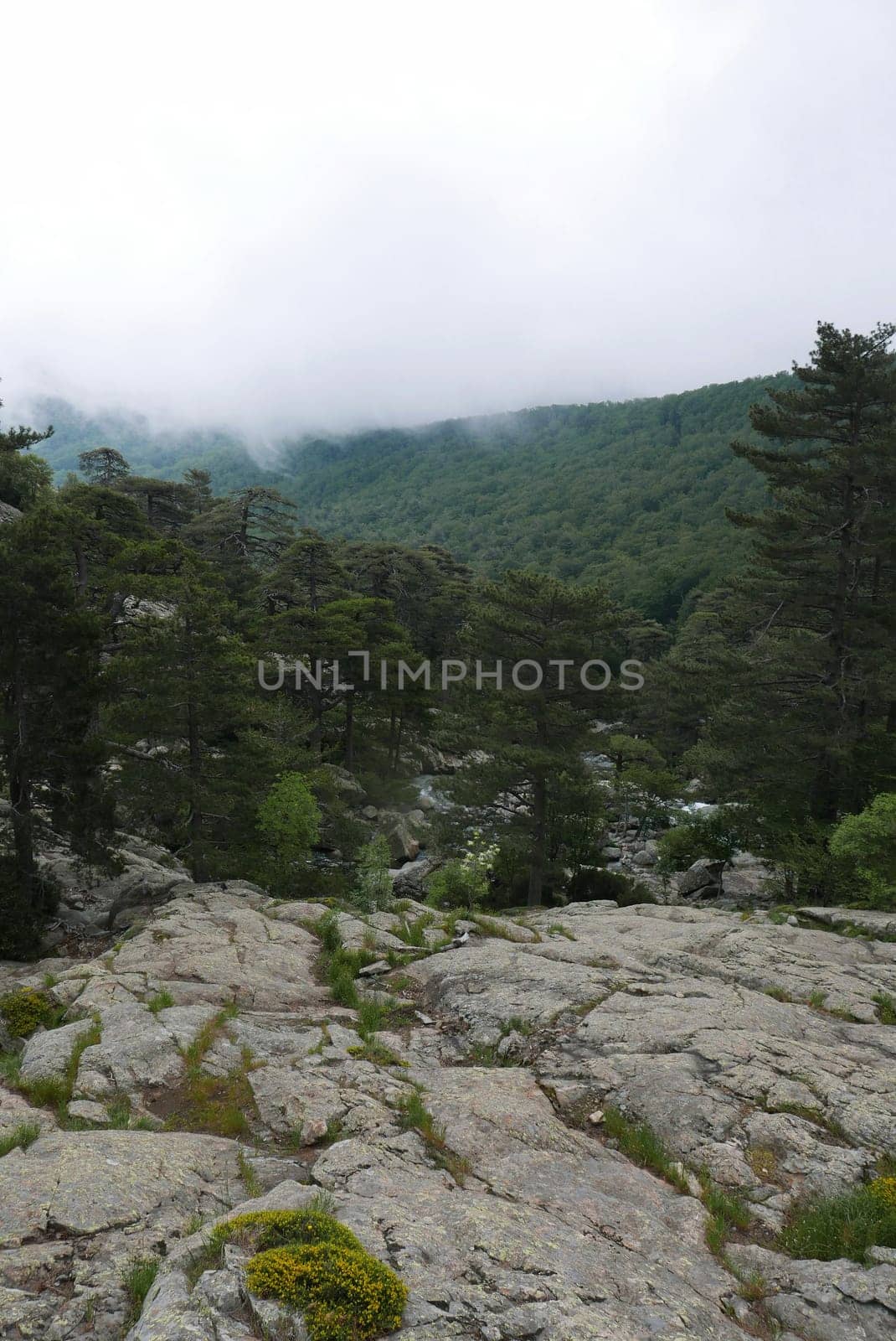 Holidays in southern Corsica..Discover the mountain landscapes of this beautiful region of France