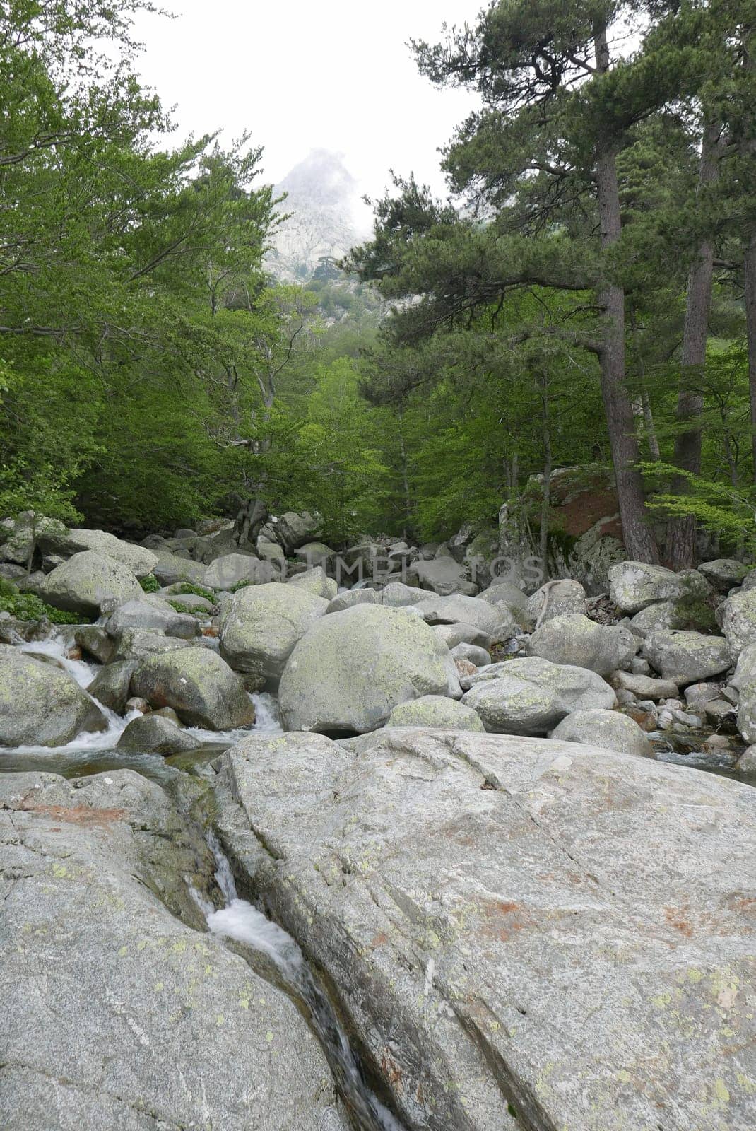 Holidays in southern Corsica..Discover the mountain landscapes of this beautiful region of France