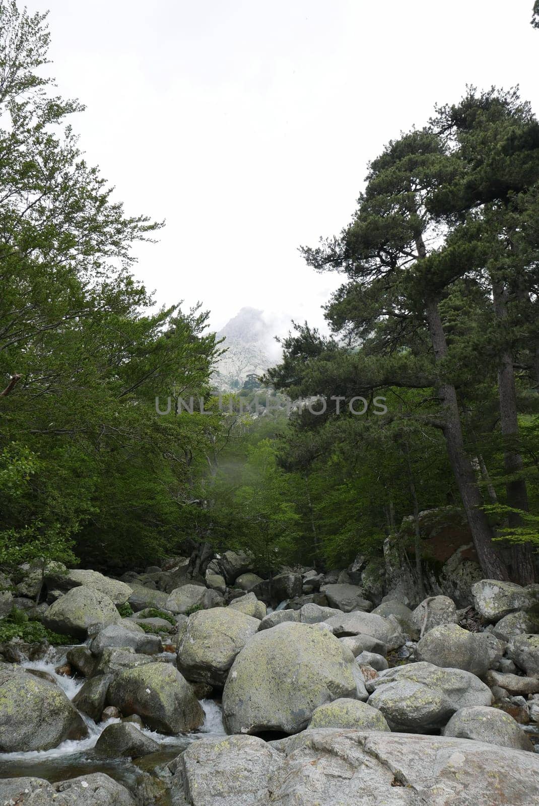 Holidays in southern Corsica..Discover the mountain landscapes of this beautiful region of France