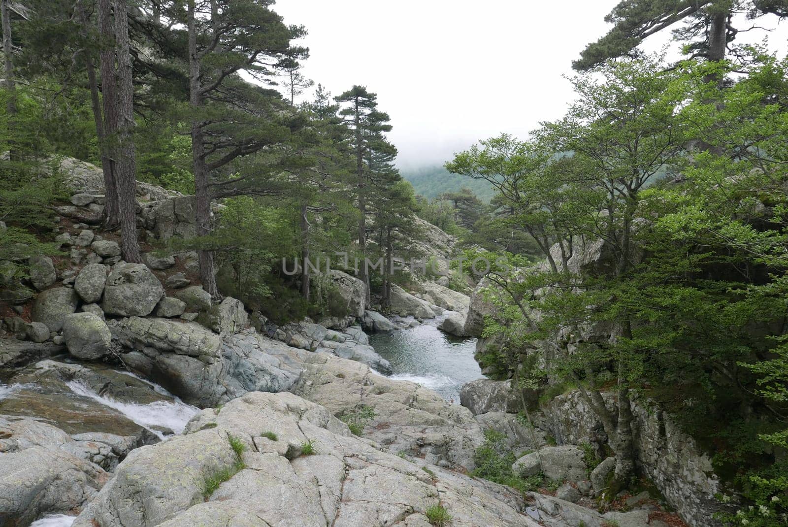 Holidays in southern Corsica..Discover the mountain landscapes of this beautiful region of France