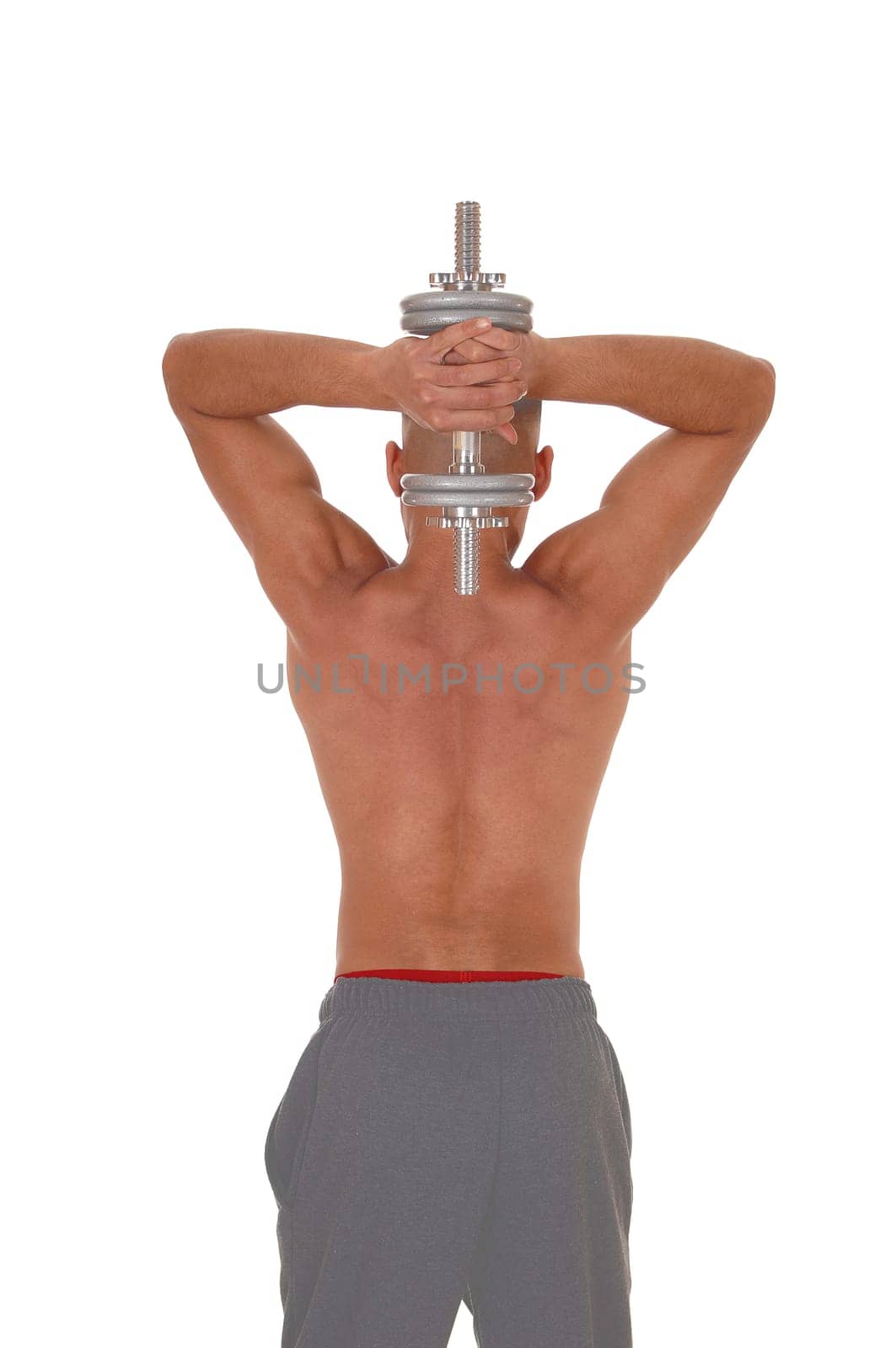A close up image of a young man standing from the back lifting one.dumbbell over his head, isolated for white background.