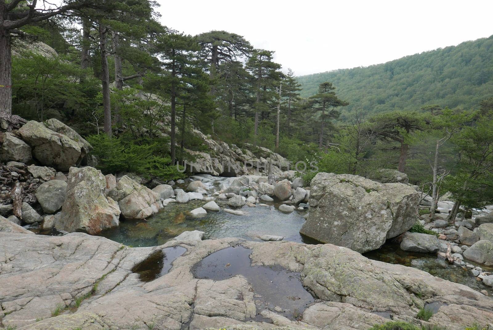 Holidays in southern Corsica..Discover the mountain landscapes of this beautiful region of France