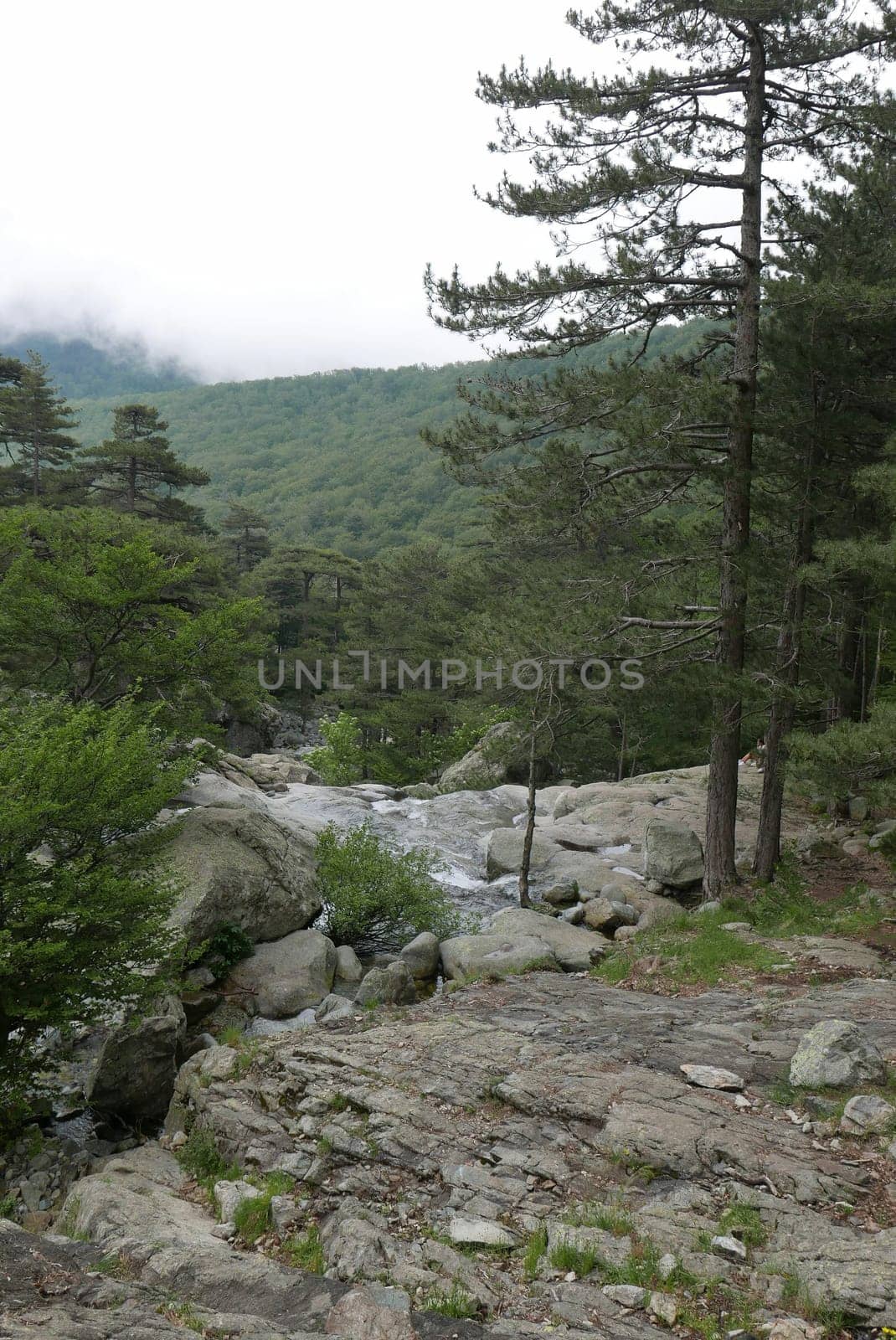 Holidays in southern Corsica..Discover the mountain landscapes of this beautiful region of France