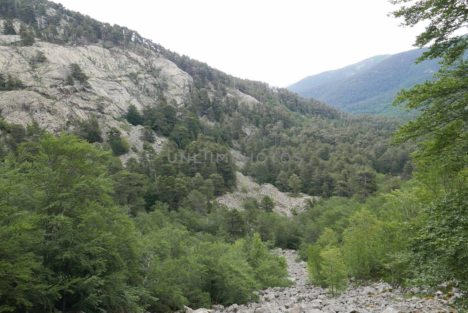 Holidays in southern Corsica..Discover the mountain landscapes of this beautiful region of France