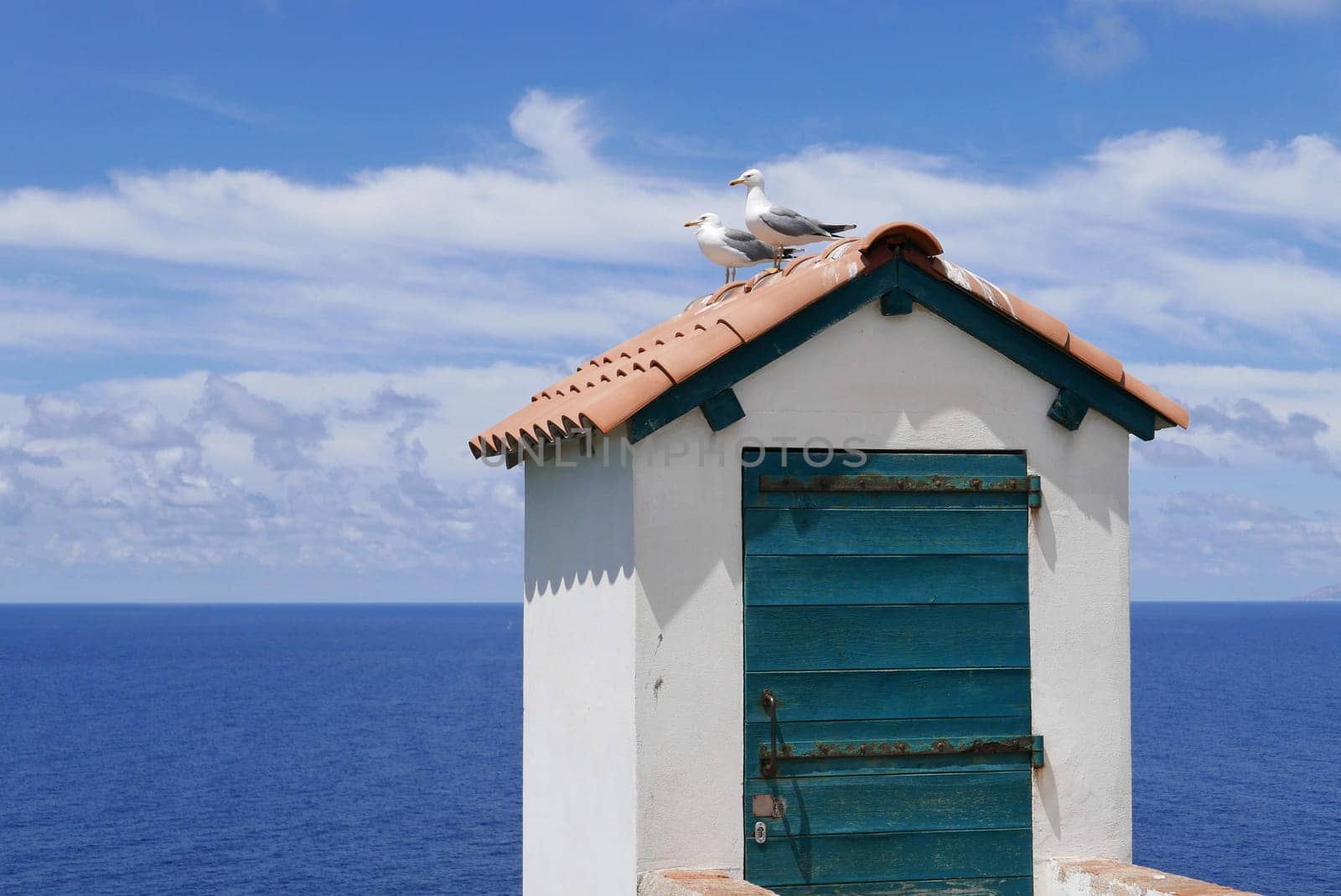 Holidays in southern Corsica..Discovery of the Sanguinaires Islands, next to the city of Ajaccio