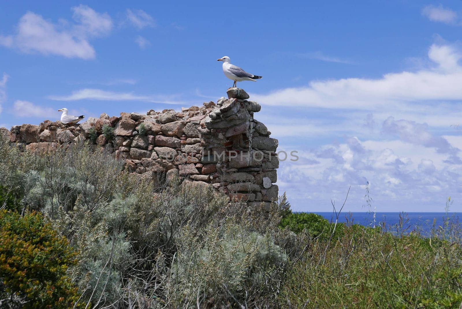 Holidays in southern Corsica..Discovery of the Sanguinaires Islands, next to the city of Ajaccio