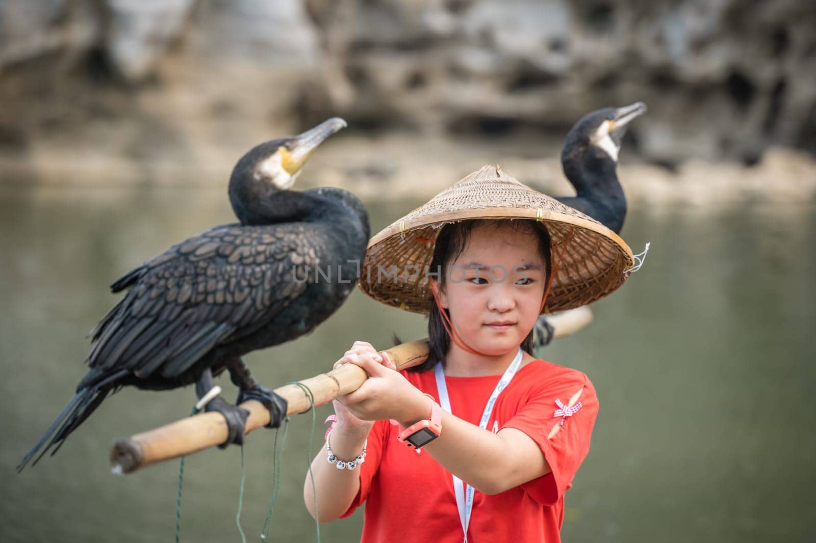 Guilin, China -  August 2019 : Cute little chinese girl holding bamboo stick with cormorant birds and posing for souvenir photo in front of the landmark Elephant Trunk Hill Arch and the Li Lijiang River, Guangxi Province