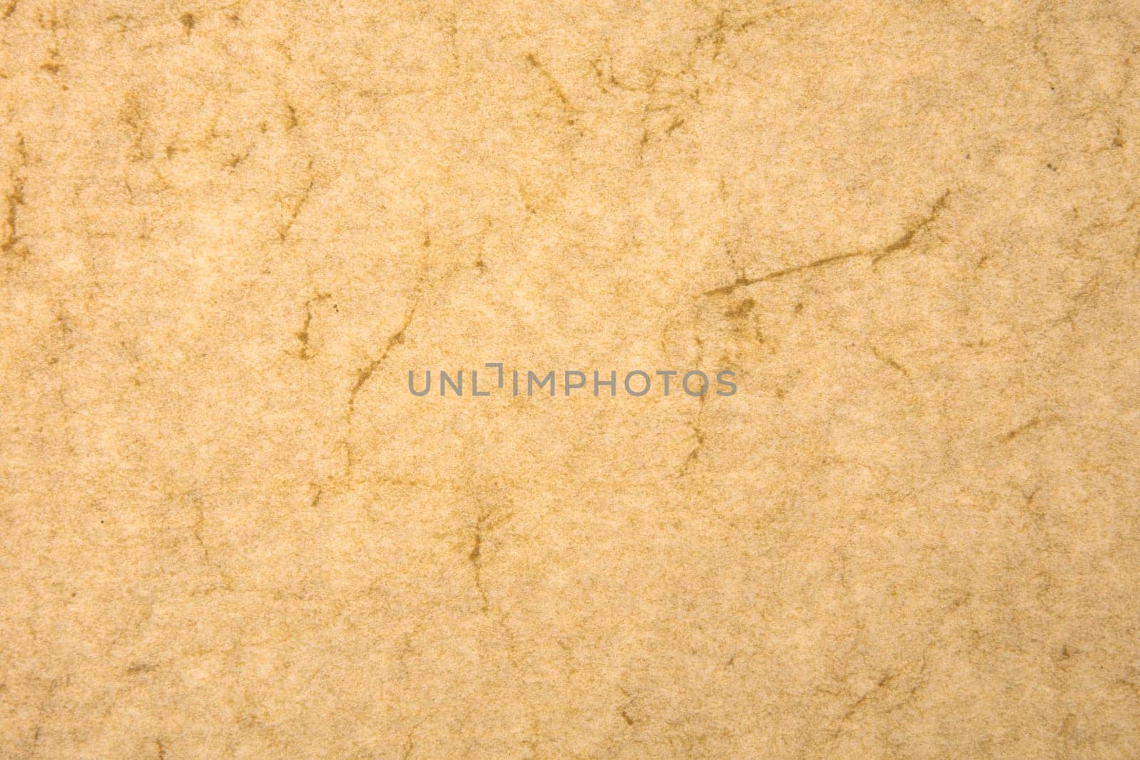 Macro from Ivory Paper from above in Detail