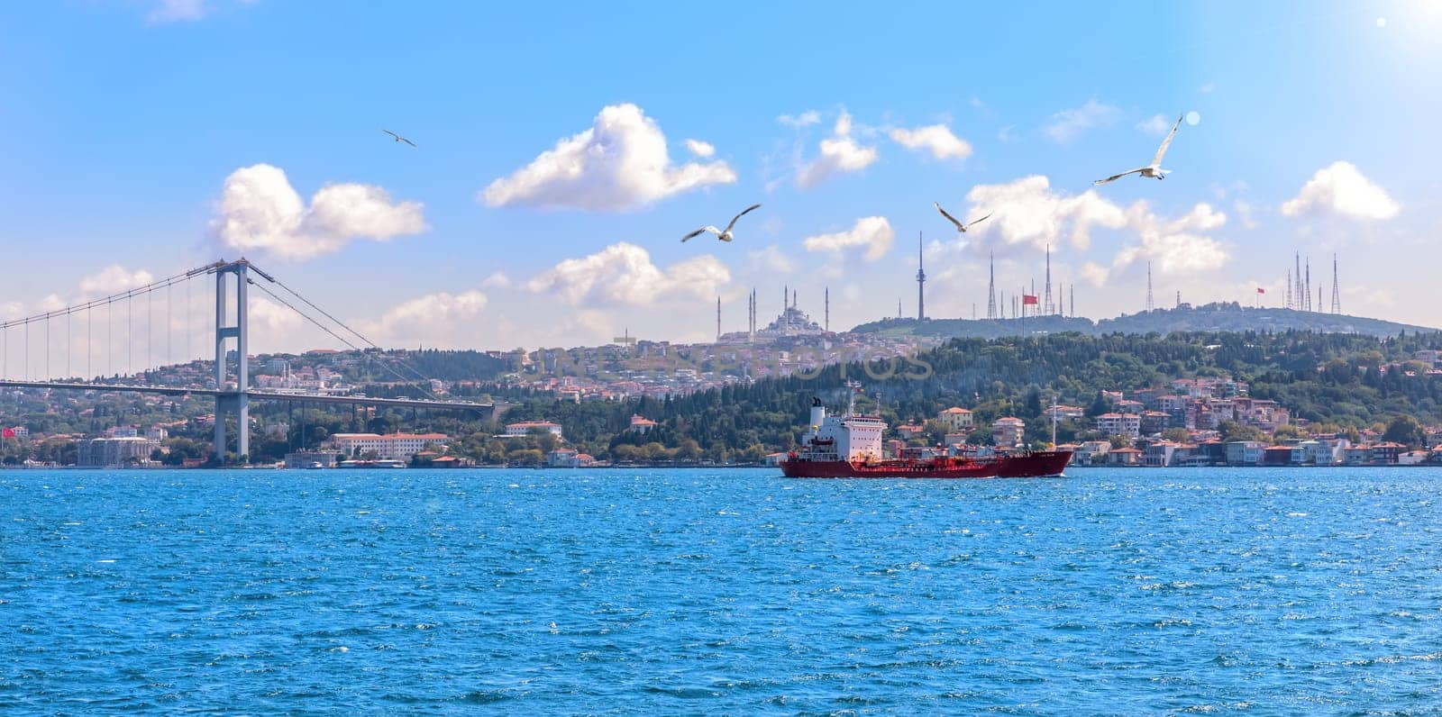 The Bosphorus strait, the bridge and the Asian coast of Istanbul.