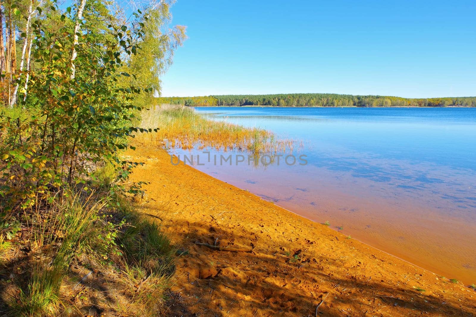 Senftenberg Lake beach, Lusatian Lake District