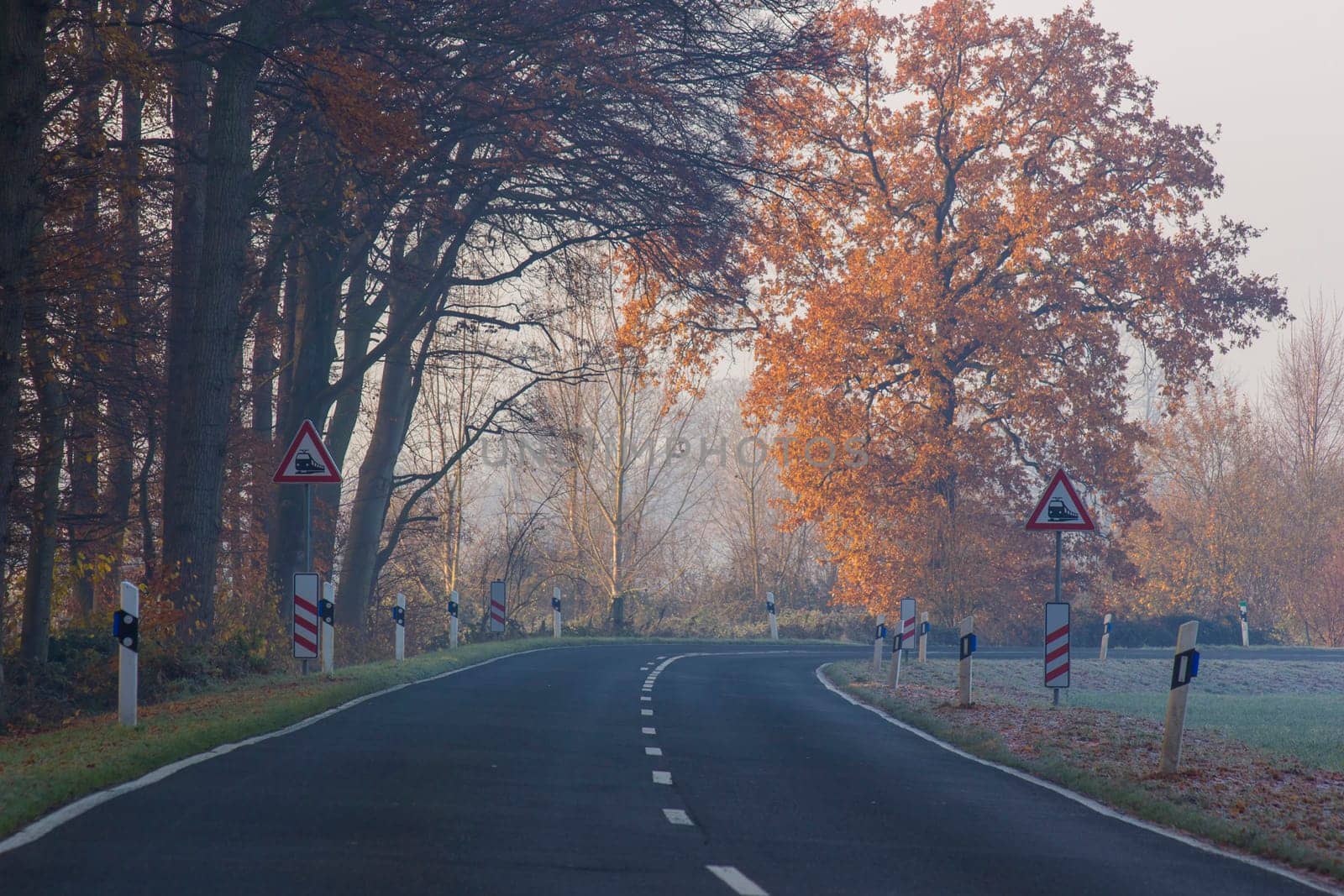 empty asphalt road in a forest - autumn foggy morning