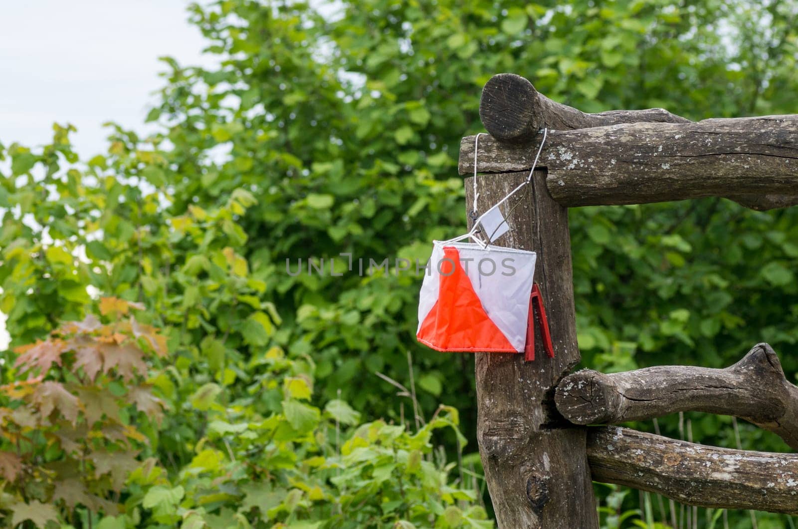 The orienteering flag in the Lithuanian forest