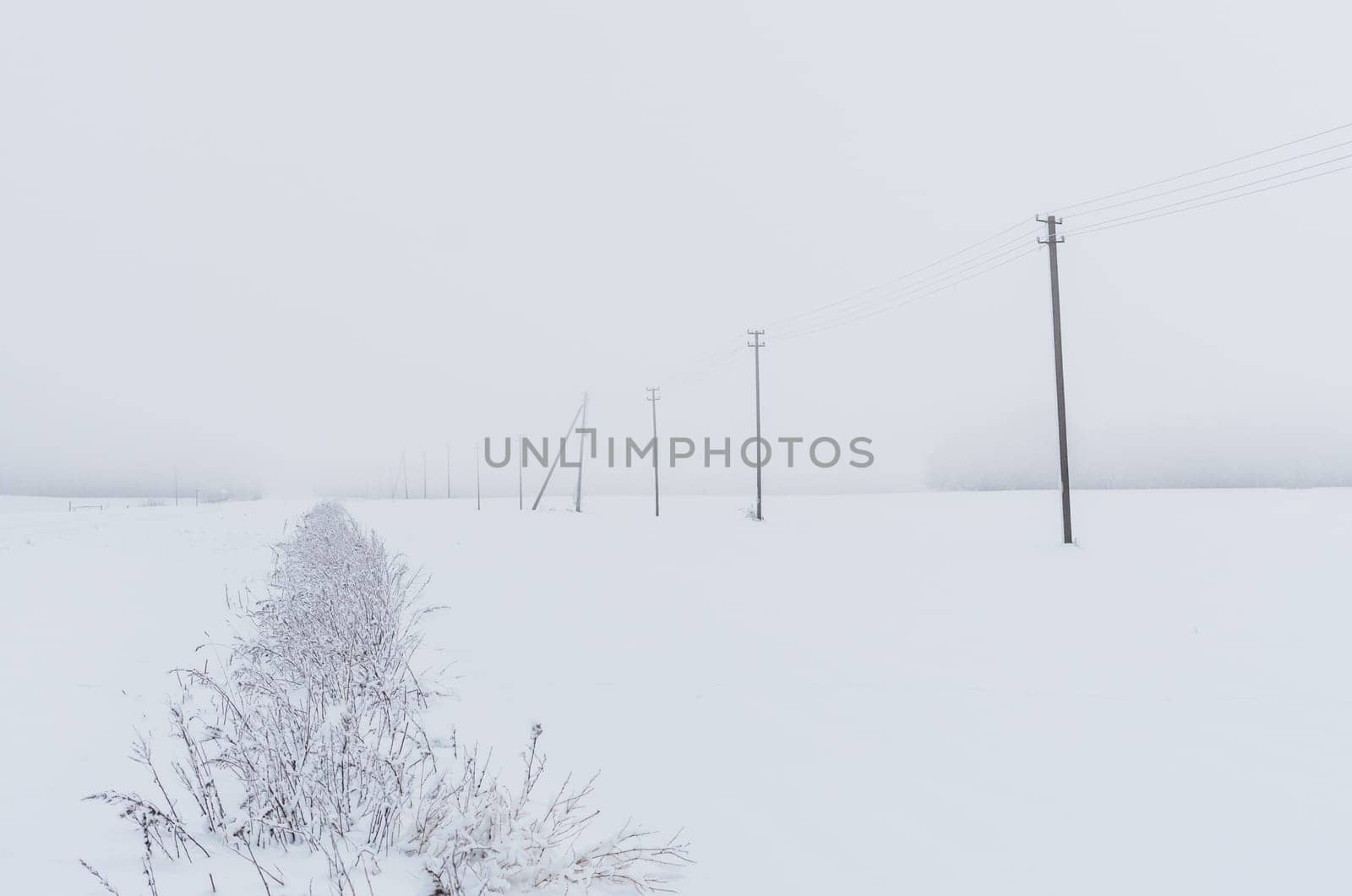 The road and poles drowned in the fog