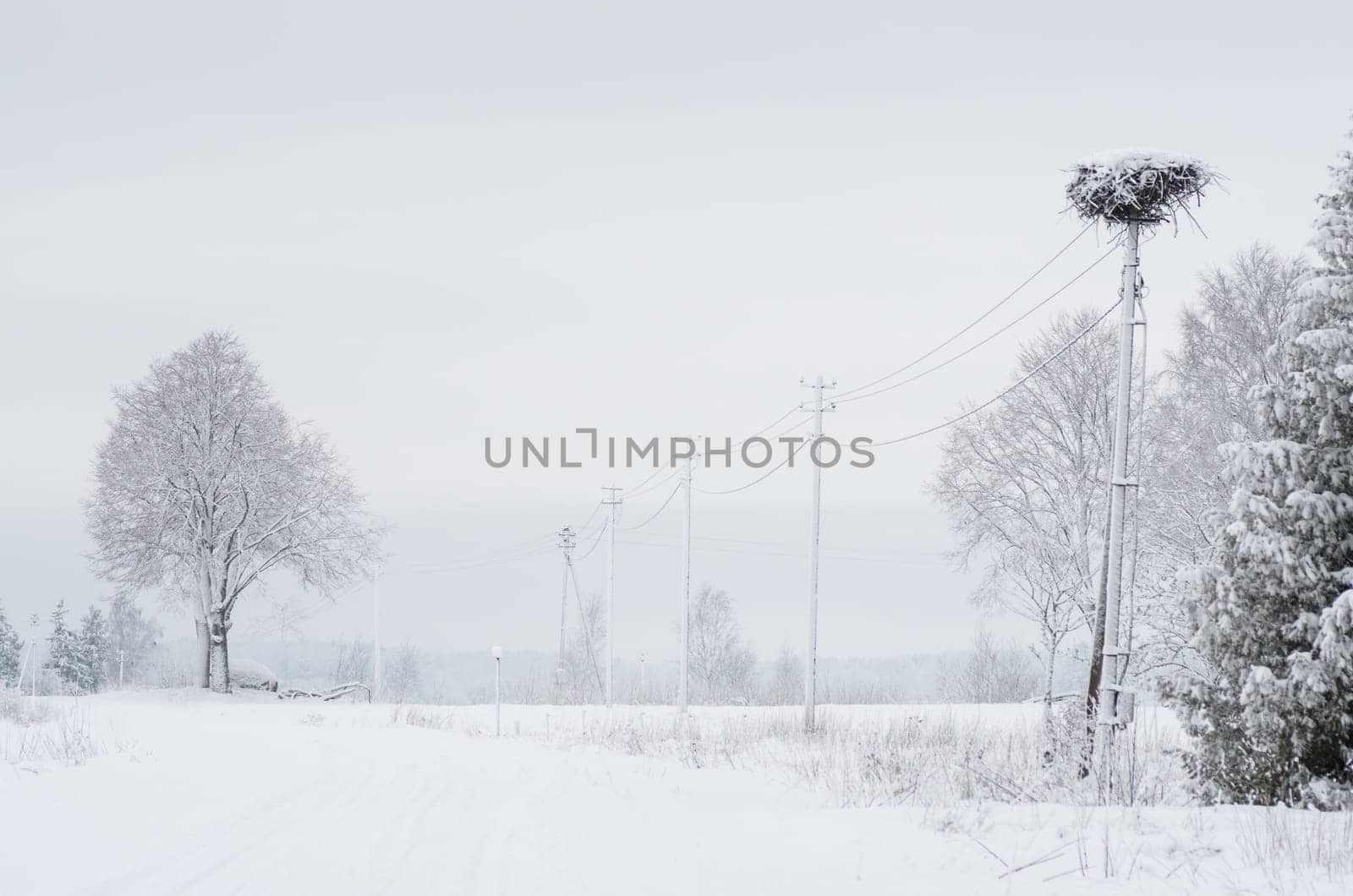 Winter landscape of fields and trees covered with snow