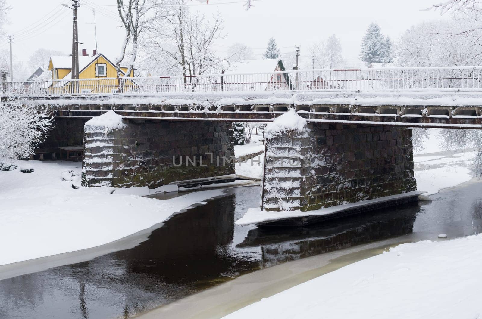 Winter forest with a cool bridge and trees