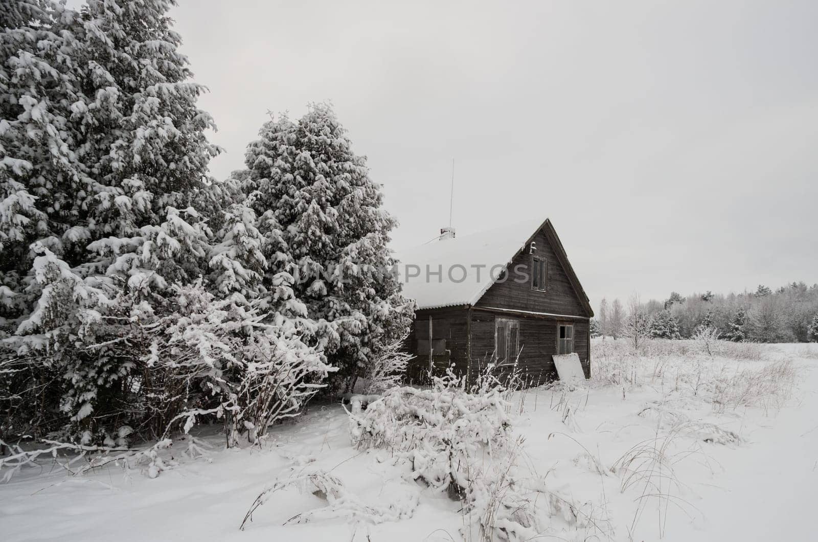 Winter landscape of fields and trees covered with snow and old homestead