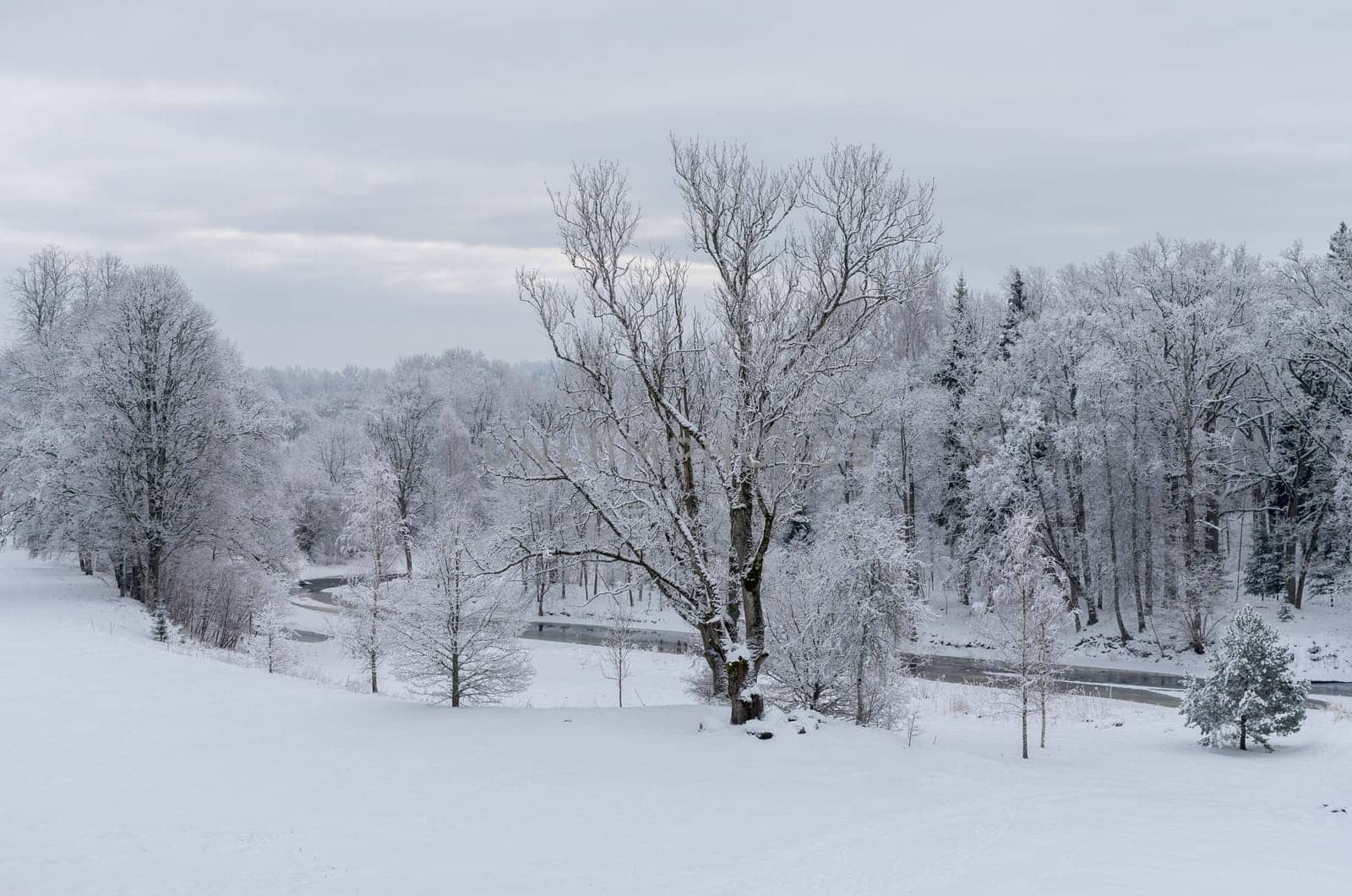 Winter day landscape with river and forest.